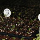 유곡농장 이미지