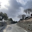 도초 | [신안군 도초] “지남리 피자집” 방문 및 포장 후기 | 분위기 좋은 피자 맛집 | 수국공원 근처 맛집