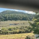 재약산휴게실 | [경남 가볼만한 곳, 단풍 명소] 밀양 얼음골케이블카, 사과따기체험 (창원 근교 여행)