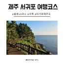사계올레 | 한달살기7 제주 서귀포 서쪽 가볼만한 곳 여행코스추천 올레10코스 산방산 용머리 해안 사계해안 송악산