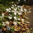 어진박물관 이미지