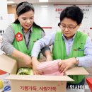 펫플러스라이프 이미지