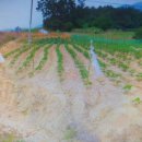 동호리 농장 이미지