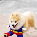 현실 Daum카페