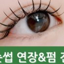 오늘도클로버