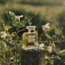 빼올농장 이미지