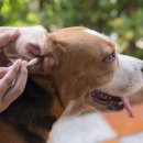 강철병원 이미지