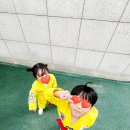 인하태권도장 이미지