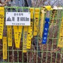 매봉휴게소 이미지