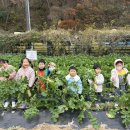 매곡어린이집 이미지