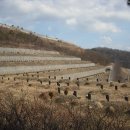 순천시립 공원묘지 이미지