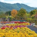봉화식물원