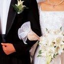 함께 남북결혼정보회사 이미지