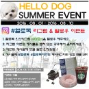헬로독 이미지