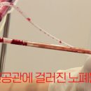 포톤테라피
