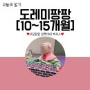 이마트 | 양주이마트 문화센터 도레미팡팡 [10~15개월] 찐 후기