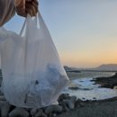 백운포체육공원(마사구장) 이미지