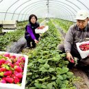 Today in Photos(1/4) 이미지