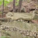 삼성식당 이미지