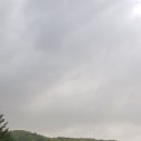 대관령800마을 코지하우스 Daum카페
