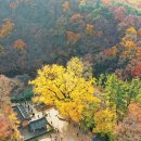 평원목장 이미지