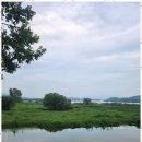 구미 행정사 이미지