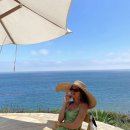 sunny house 이미지