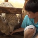 구산보건진료소 이미지