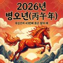 코코초콜릿익산 | [2025년 12월] 생일주간, 샤브샤브, 두쫀쿠의 시작, 크리스마스, 오빠랑 이태원 불밤, 2025년의 끝