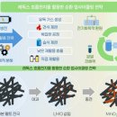 고온환경자원 이미지