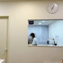 고양이미용 캣어스 | 평택 송탄 서정리 무마취 고양이 미용 온니캣 후기