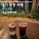 일산 대형카페 옐로커피 은행나무 주말 방문 후기