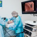 엔도메드 이미지