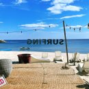서핑투개더 | 양양서핑 | 일어서지 못해도 재밌는 초보서핑강습 <서핑투개더>🏄🐶