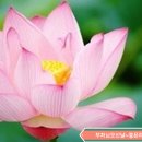 구월1동-17 이미지
