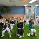 자연 팜 이미지