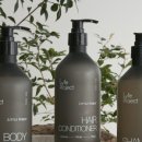 르컬렉티브속초해변 이미지