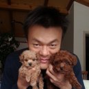 호두랑파이랑 - 남구 신정로20번길 15-6 | 호두랑파이랑