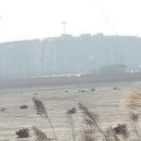 신항만도로 이미지