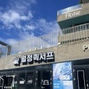 월정486 | [제주] 월정리 해변에서 가족과 함께 즐긴 서핑, 월정퀵서프 후기