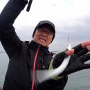 용성좌대 이미지