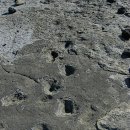 제주 사람발자국과 동물발자국 화석산지 이미지