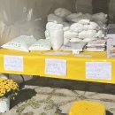이천시 모가야구장 | [국내여행] 이천쌀문화축제 후기 / 이천 쌀 가격 / 프로그램