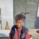 보영탕 이미지