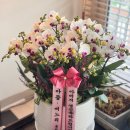 예림화분
