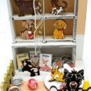 애견&만들기 이미지