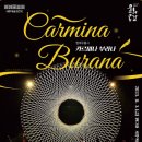 (공연) 메타댄스프로젝트 <카르미나 부라나> 이미지