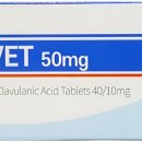 초코약국 이미지