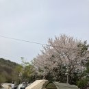 풍성채 이미지