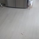 마루모아 이미지